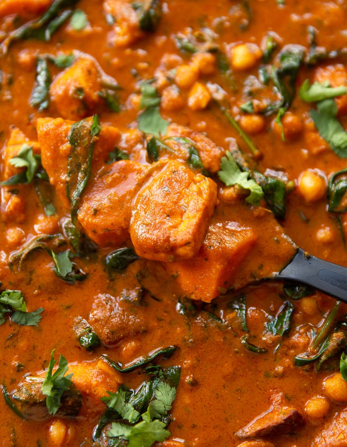 A close up of Halloumi Sweet Potato Curry